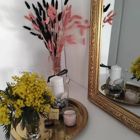 Dolce-vita 3 Etoiles, Climatise , 50m De La Et Aux Portes De Menton ,parking Gratuit *