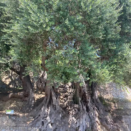 Διαμέρισμα Dolce-vita 3 Etoiles, Climatise , 50m De La Et Aux Portes De Menton ,parking Gratuit Roquebrune-Cap-Martin