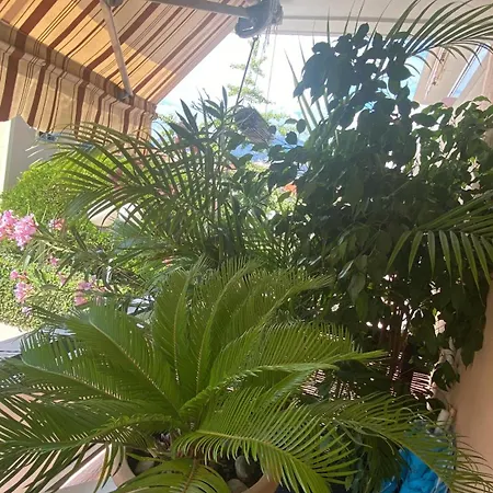 Apartment Dolce-vita 3 Etoiles, Climatise , 50m De La Et Aux Portes De Menton ,parking Gratuit Roquebrune-Cap-Martin